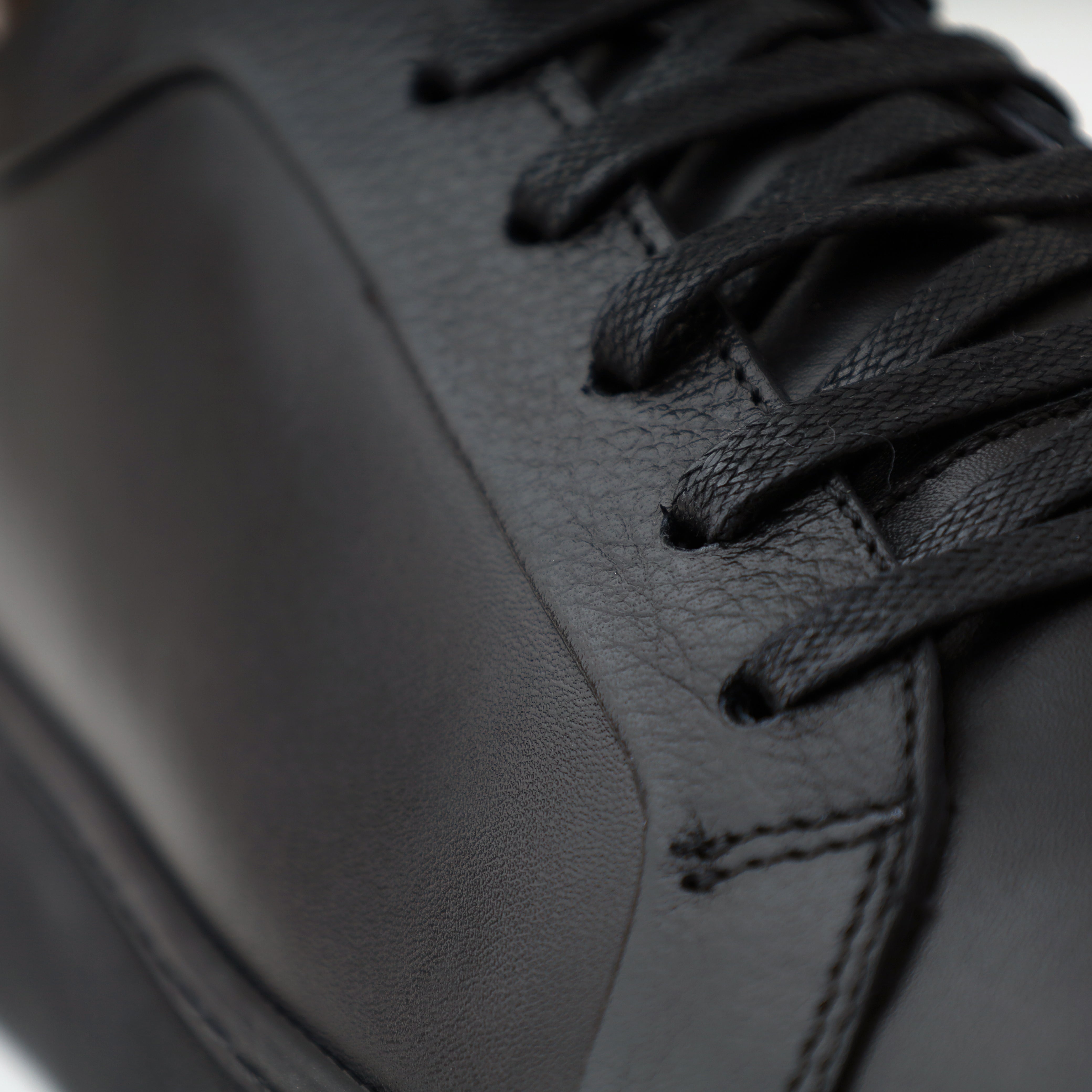 ShadowWalk SW110